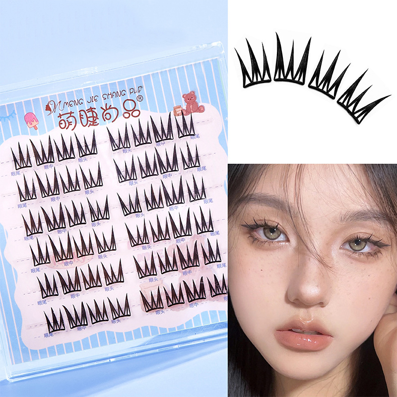 Eyelash Extension No 9 - 6 Rzędów Nowe Sztuczne Rzęsy Bez